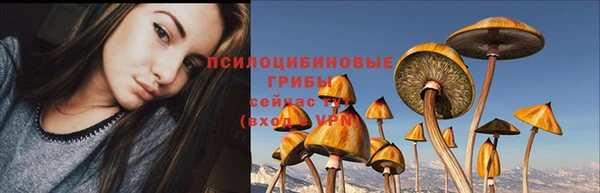 MDMA Premium VHQ Лиски
