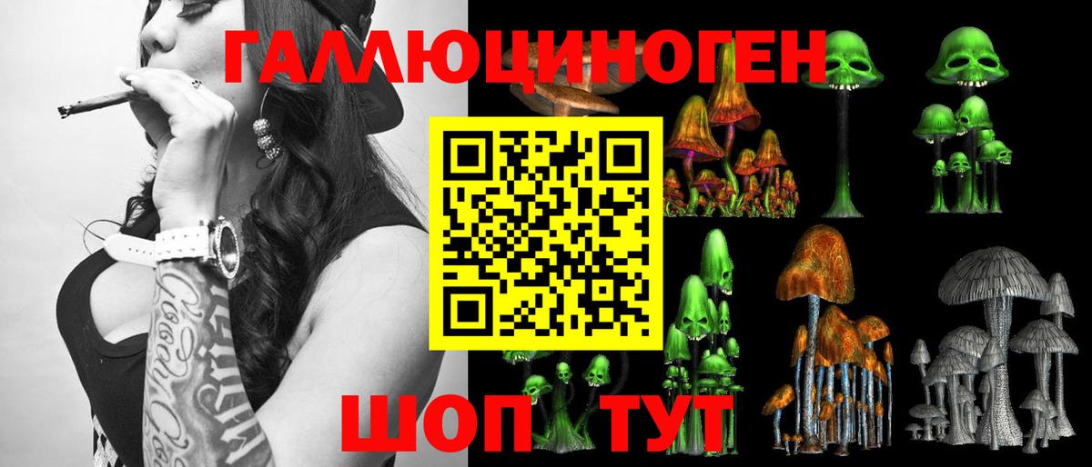 Псилоцибиновые грибы GOLDEN TEACHER  Темрюк  Галлюциногенные грибы прущие грибы 